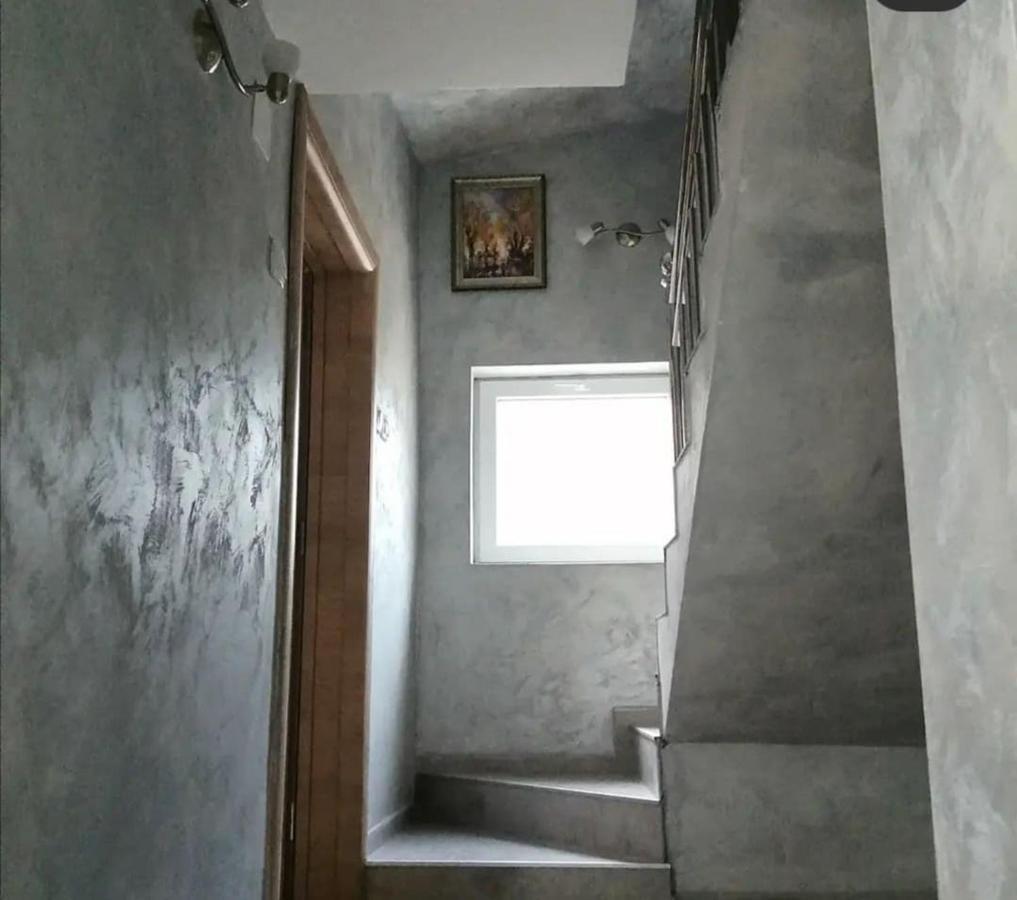 Vila Lux Nedeljkovic Gornja Trepca Čačak Екстериор снимка