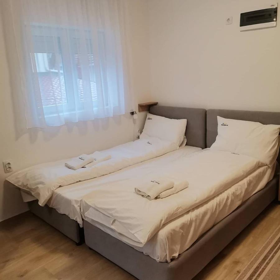 Vila Lux Nedeljkovic Gornja Trepca Čačak Екстериор снимка